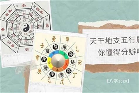 測試五行|生辰八字算命、五行喜用神查詢（免費測算）